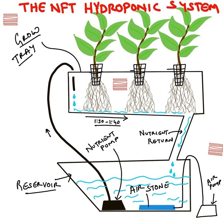 NFT Hydroponic system