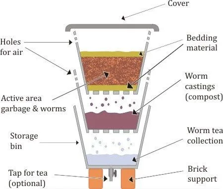Vermicomposting_Worm-bin_-Set-up