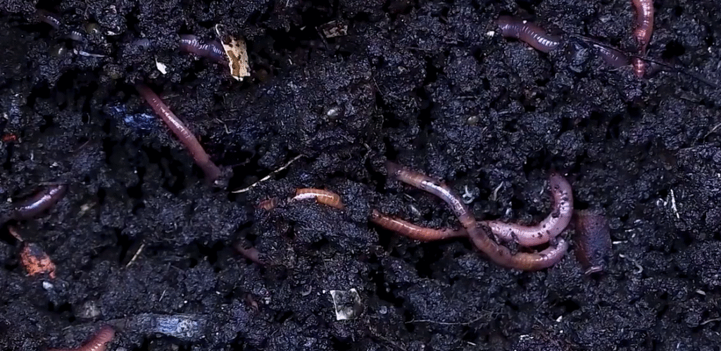 Farmer's Secret Weapon